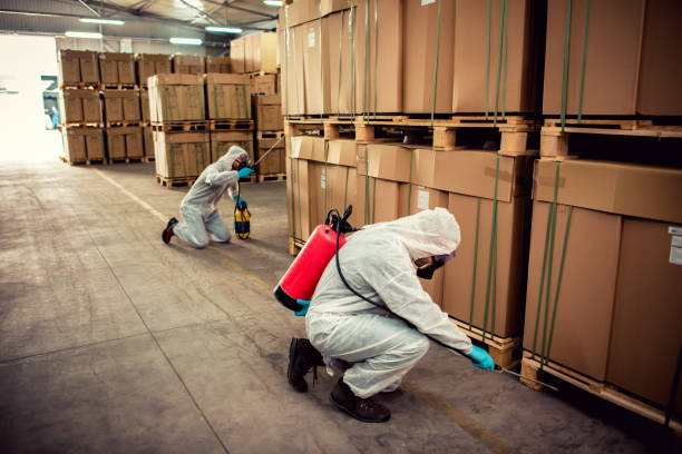 Best Ant Control Services  in Louise, TX