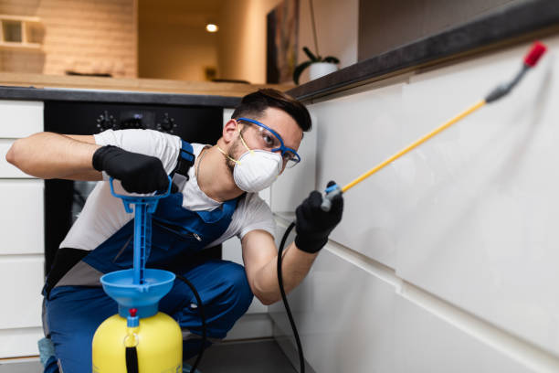 Best Best Pest Control Companies  in Louise, TX