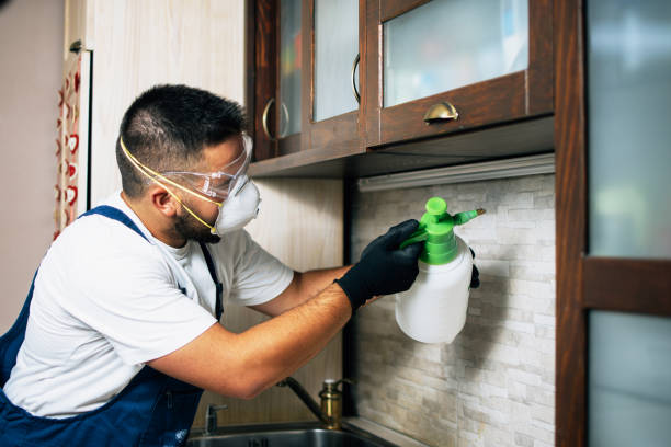 Best Best Pest Control Companies  in Louise, TX