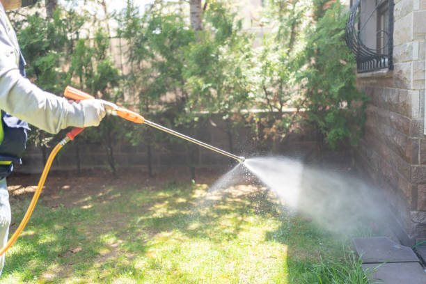 Best Bed Bug Extermination  in Louise, TX