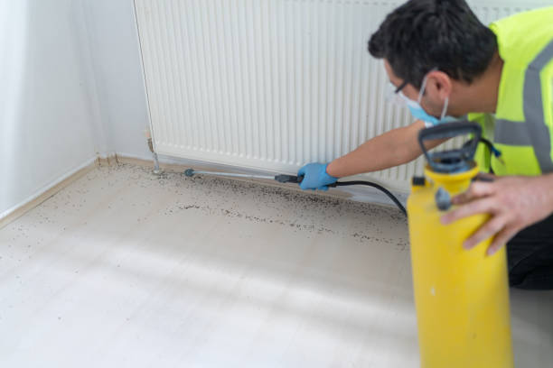 Best Affordable Pest Control Services  in Louise, TX